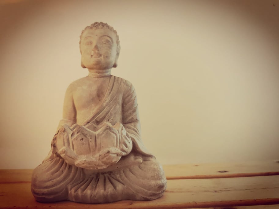 242259438_545489266710694_4880890078448551818_n